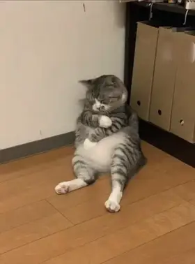 Ta-da it